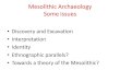 Mesolithic archaeology