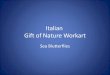 Italian gift of nature workart(compressa)