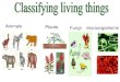 Tema 4 living things