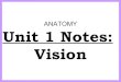 Anatomy Unit 1 Notes: Vision