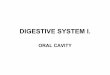 1st week -_digestive_system_i