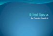 Blind spots by densley grandoit