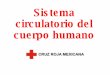 Sistema circulatorio Cruz Roja Mexicana