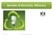 The benefits of electricity efficiency