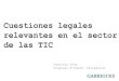 Carolina Pina, congreso de e-Coned: 'Cuestiones legales relevantes en el sector de las TIC' - 24092013