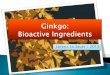 Ginkgo biloba – bioactive ingredients