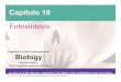 Biology capitulo10-Fotosíntesis