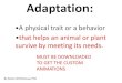 Animal adaptions.. introduction  (teach)