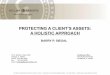 Protecting A Clients Assets. A  Holistic Approach (00125483 1)