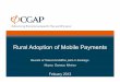 Adoption mobile payments (english version)