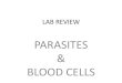 Prof. frank's review powerpoint parasites