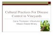Cultural practices for disease control