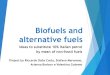 Biofuel Project: an anlysis to substitute 10% italian petrol by mean of non-fossil fuels