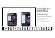 Evolução do BlackBerry, Blog do Robson dos Anjos