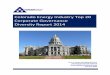 Colorado 2014 Top 20 Energy Industry Corporate Governance Diversity Report