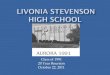 Livonia stevenson high school reunion