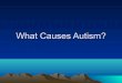 What Causes Autism?