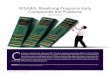 WSARA: Baselining Programs Early Compounds the Problems