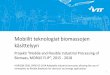 Mobiilit teknologiat biomassojen käsittelyyn, Pyrolyysipävä 12.11.2014