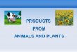Products from animals and plants