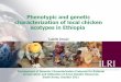 Phenotypic and genetic characterization of local chicken ecotypes in Ethiopia