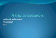 A trip to lebanon