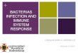 BACTERIAS INFECTION AND IMMUNE SYSTEM RESPONSE