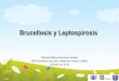 Seminario Brucelosis y Leptospirosis