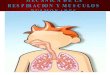 Mecanica De La Respiracion Y Musculos Pulmonares