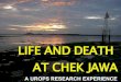 Life And Death At Chek Jawa For Fos Open House