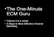 One-Minute ECM Guru -- Volume 3