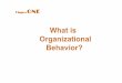Chapter 1   what is organizational behavior-slides