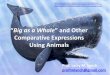 Teaching English Grammar: Comparative expressions using animals
