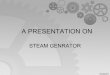 Electric Steam genrator