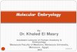 Molecular embryology  part (2) slideshow