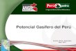 Potencial gasífero del Perú