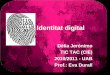 Identitat digital
