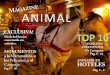 Magazine Animal - Edición Animales de la heroica