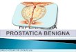 Hiperplasia Prostatica Benigna(HPB)