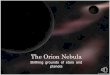 The Orion nebula LA175 OL1