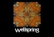 About Wellspring