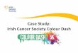 Case study: Irish Cancer Society and Colour Dash event