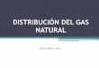 Distribución del gas natural