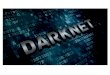 The darknet