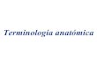 Terminologia Anatomica Y Osteologia, Artrologia En Veterinaria Y Zootecnia