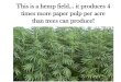 American hemp products pp slideshow