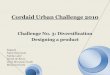 Cordaid urban challenge 2010