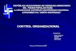 Laminas Control Organizacional Modelos Admon