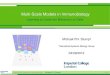 Multi-Scale Models in Immunobiology