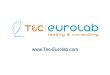 TEC Eurolab - Relationship system_2013